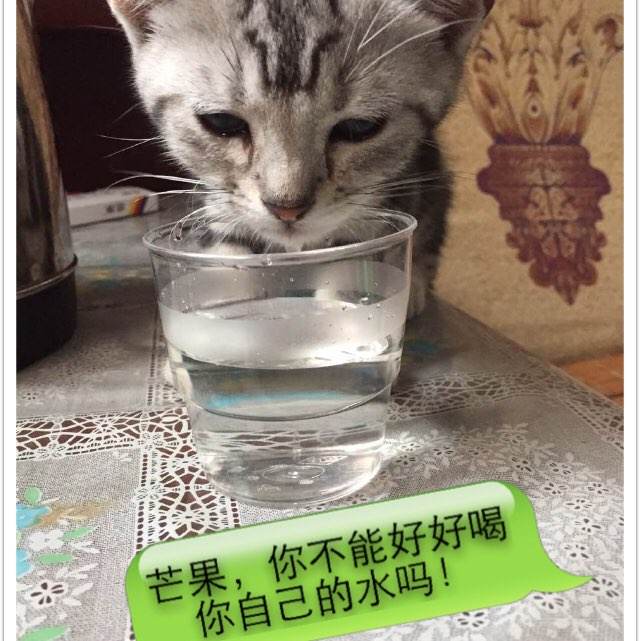 加拿大联合神学院文凭毕业证成绩认证